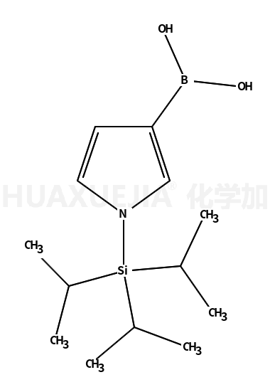 1-(三异丙基硅烷基)吡咯-3-硼酸