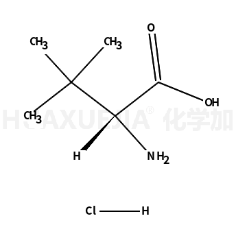 L-叔亮氨酸盐酸盐