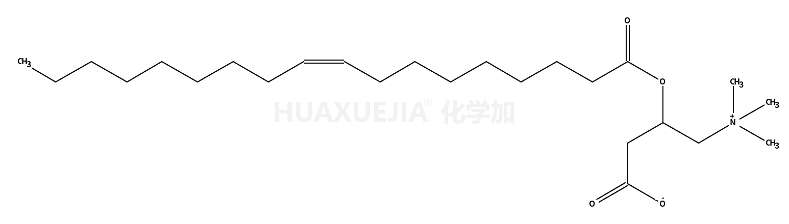 oleoyl L-carnitine