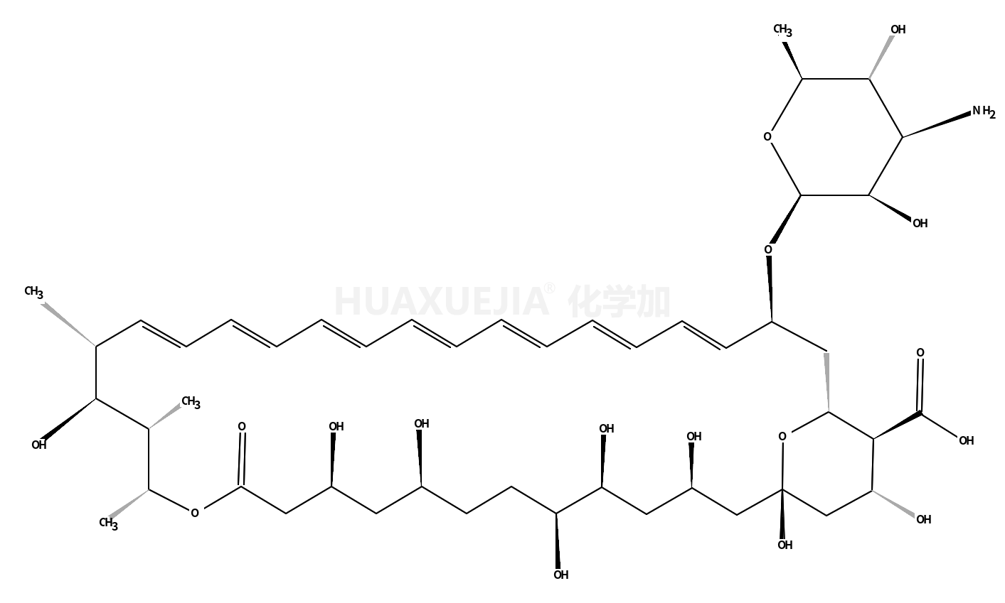 Amphotericin B