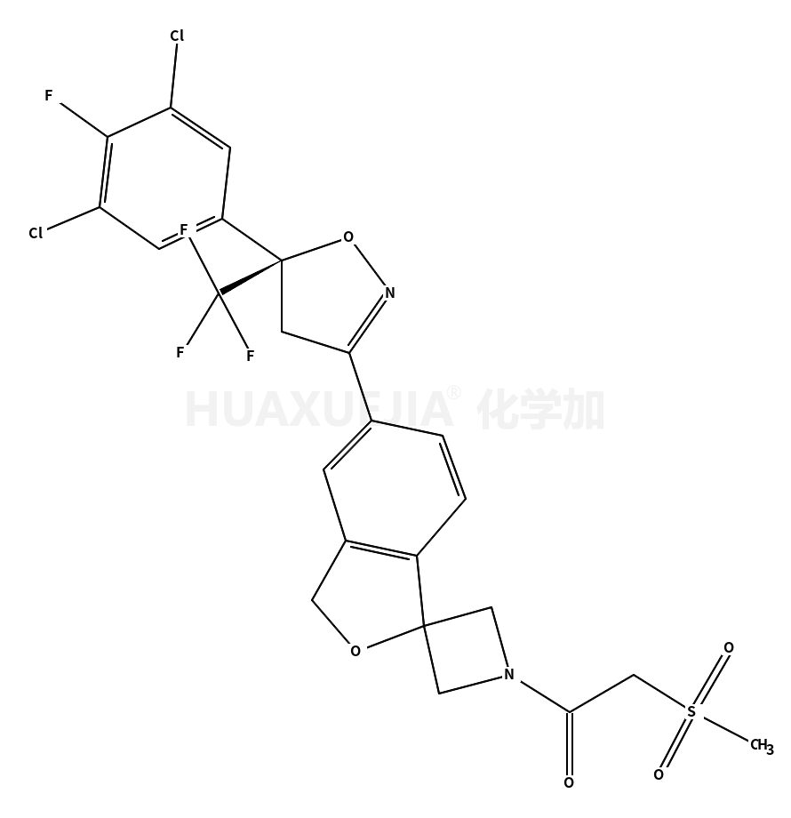 沙罗拉纳