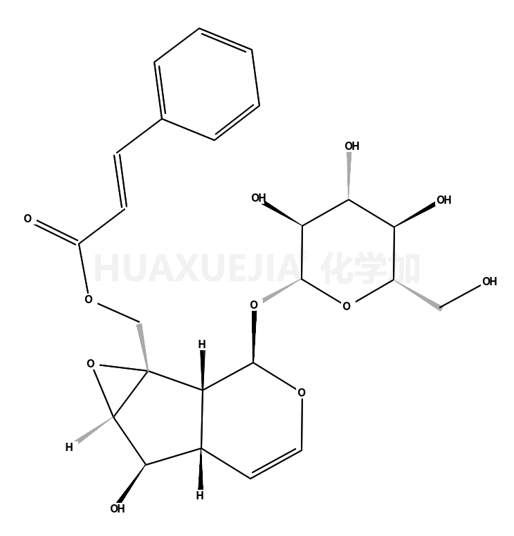 GLOBULARIN