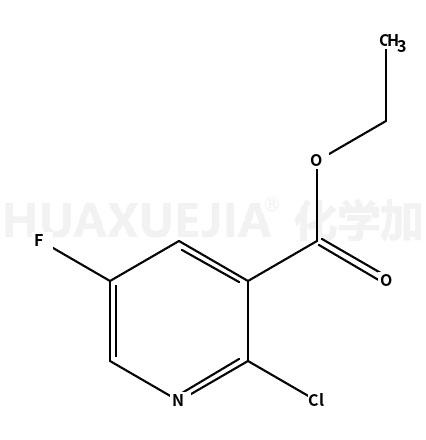 2-氯-5-氟烟酸乙酯