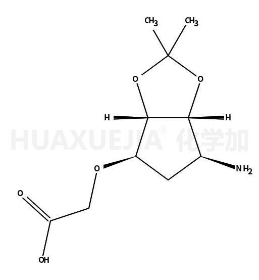 2-((3aS,4R,6S,6aR)-4-amino-tetrahydro-2,2-dimethyl-3aH-cyclopenta[d][1,3]dioxol-6-yloxy)acetic acid