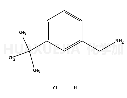 1-(3-叔丁基苯基)甲胺