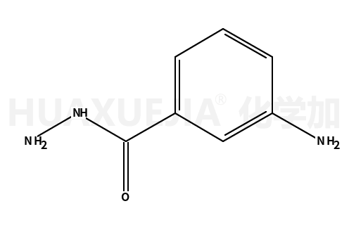 3-氨基苯酰肼