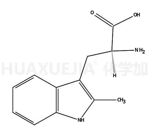 2-甲基-D-色氨酸