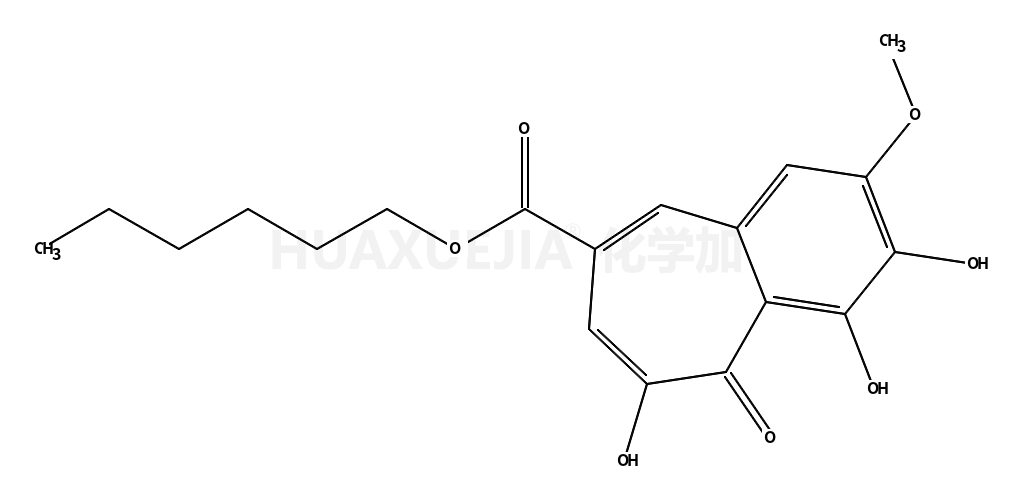 CU CPT 22