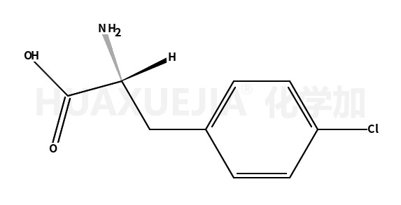 L-4-氯苯丙氨酸