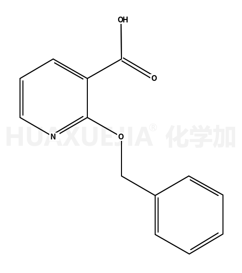 2-苄氧基吡啶-3-甲酸