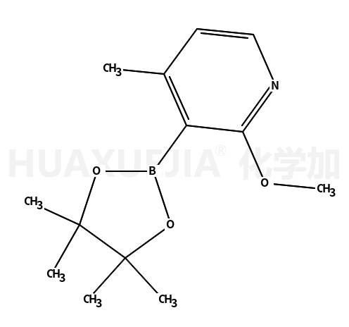 2-甲氧基-4-甲基-3-吡啶硼酸片呐酯