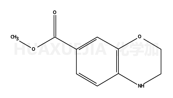 3,4-二氢-2H-苯并[1,4]恶嗪-7-甲酸甲酯