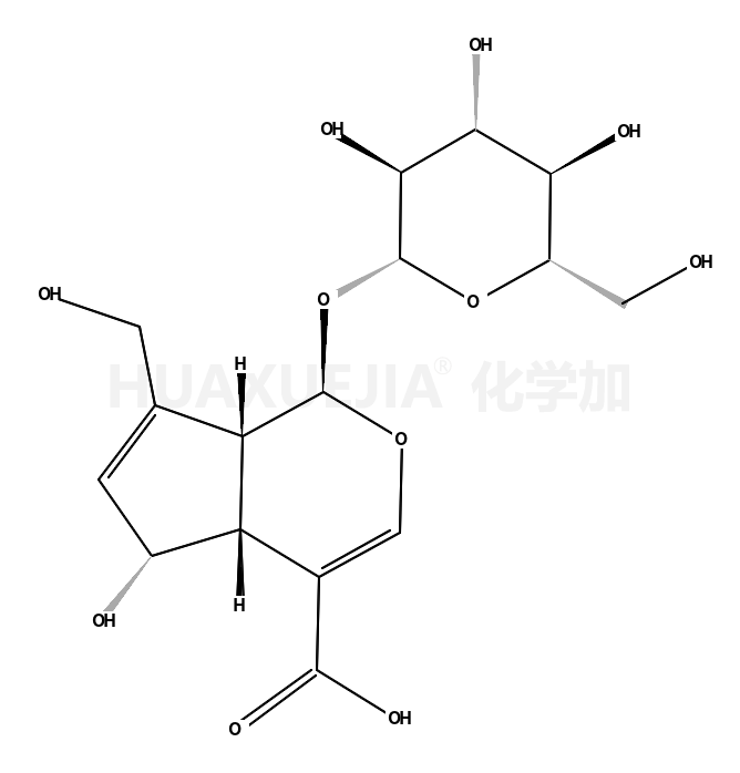 去乙酰基车叶草苷酸