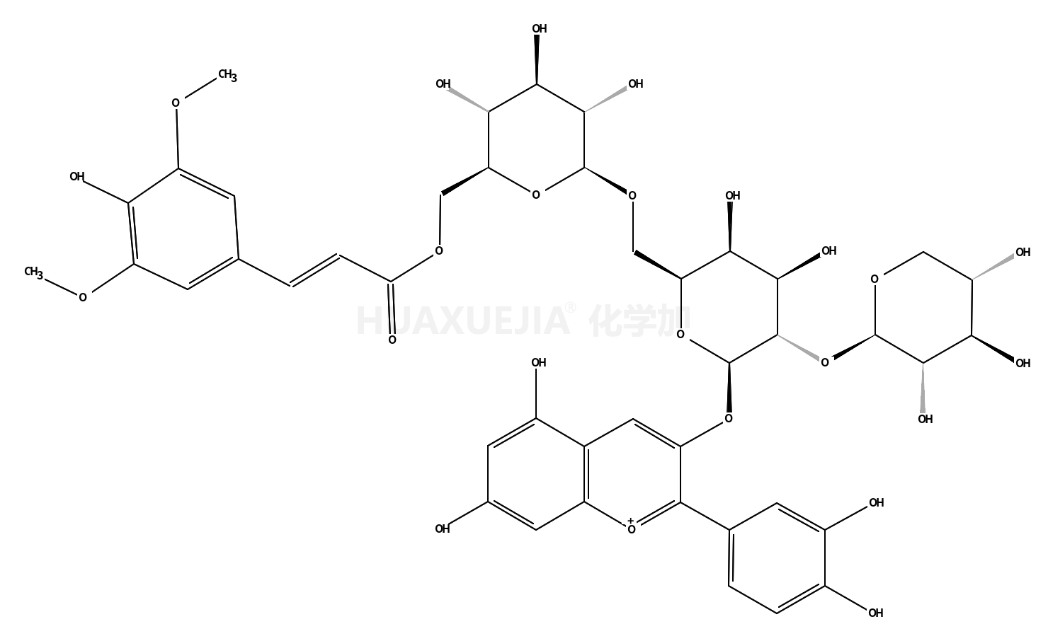 矢车菊素-3-O-木糖(芥子酰葡萄糖)半乳糖苷氯化物