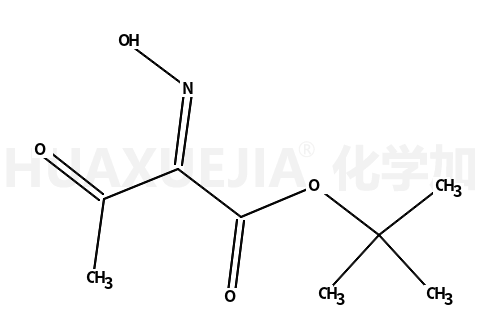 2-羟基亚氨基乙酰乙酸叔丁酯