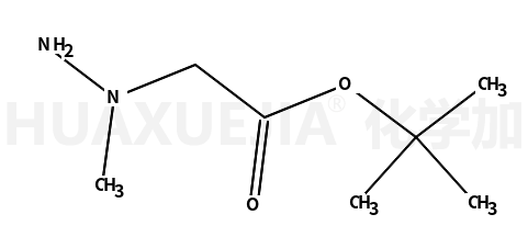 N-氨基-N-甲基甘氨酸叔丁酯