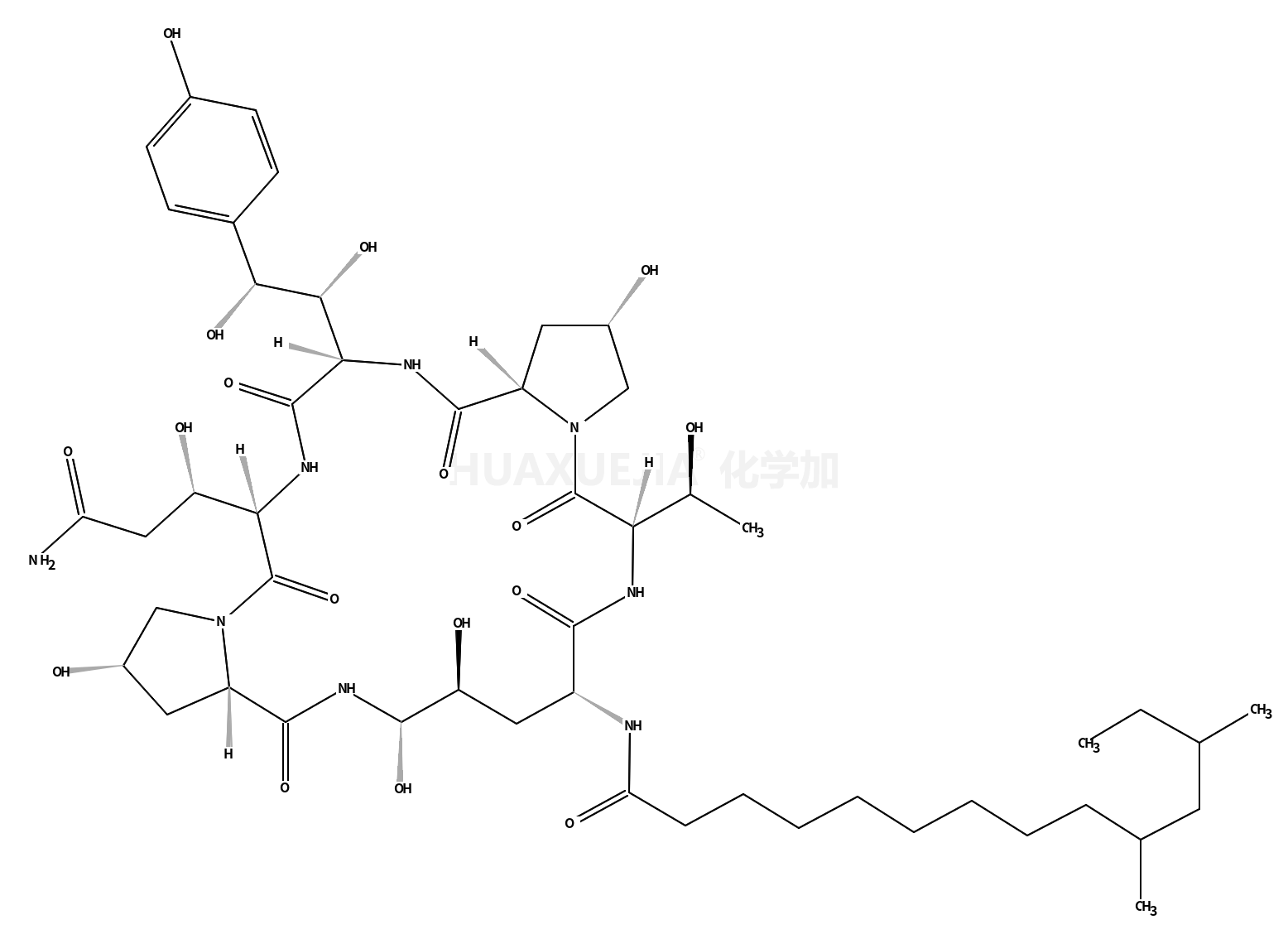 卡泊芬净PNEUMOCANDIN CO杂质