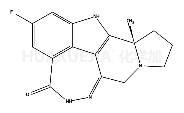 Pamiparib