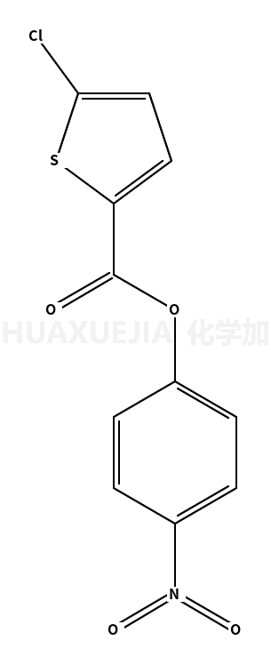 4-硝基苯基5-氯噻吩-2-羧酸酯