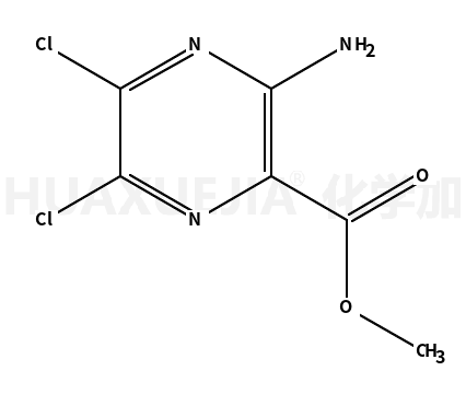 3-氨基-5,6-二氯-2-吡嗪羧酸甲脂