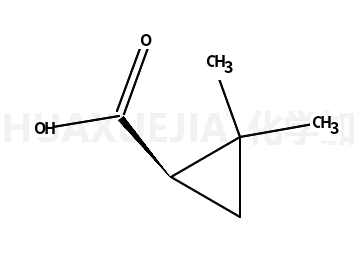 (S)-(+)-2,2-二甲基环丙甲酸