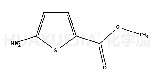 5-氨基噻吩-2-甲酸甲酯