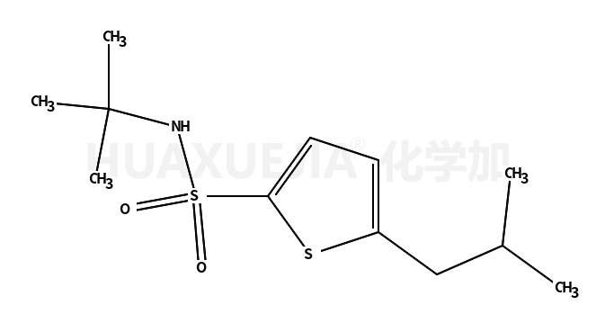 N-(1,1-二甲基乙基)-5-(2-甲基丙基)-2-噻吩磺胺
