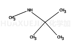 N-甲基-叔丁基胺