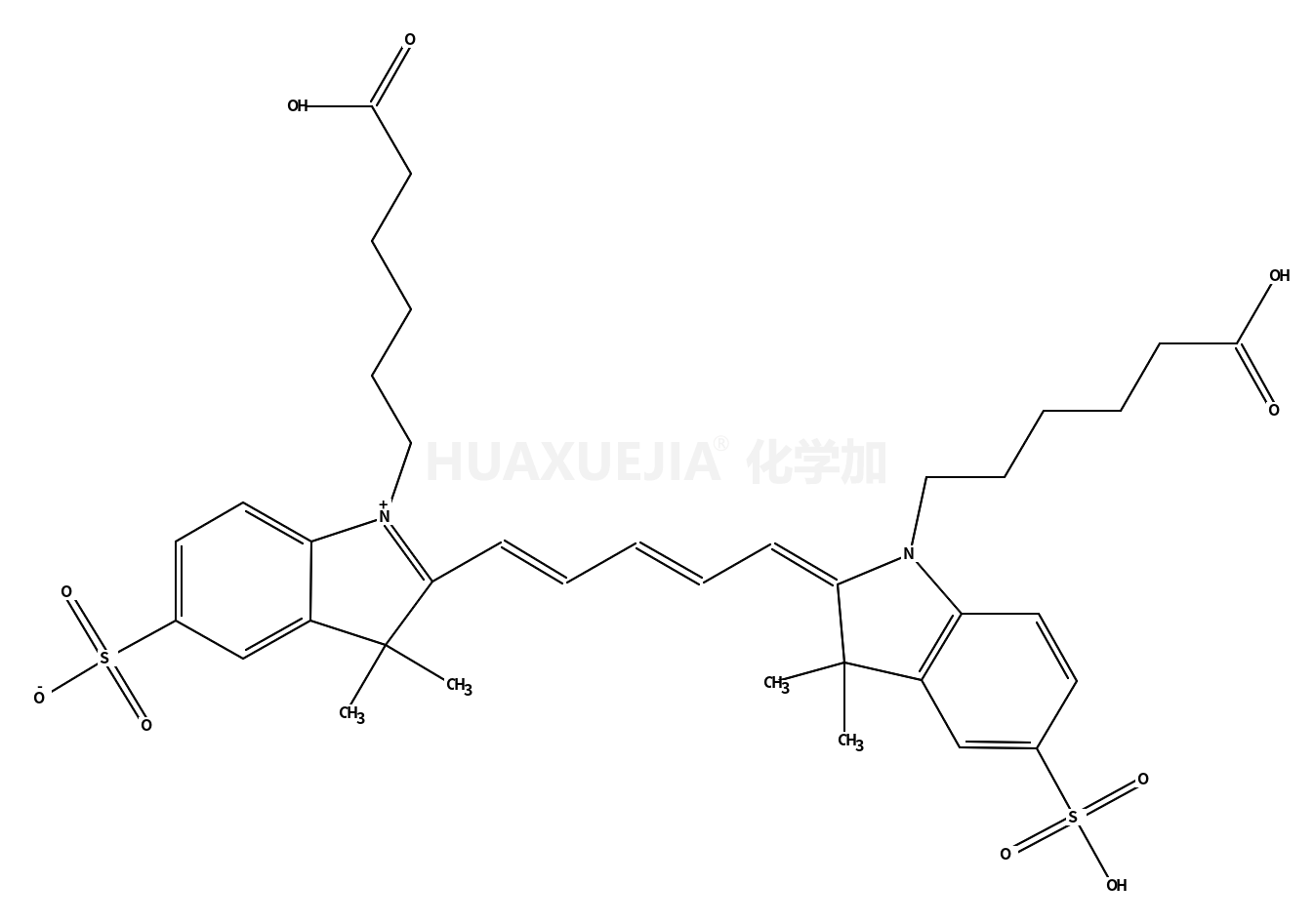 Cy5,双酸