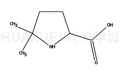 5,5-二甲基脯氨酸