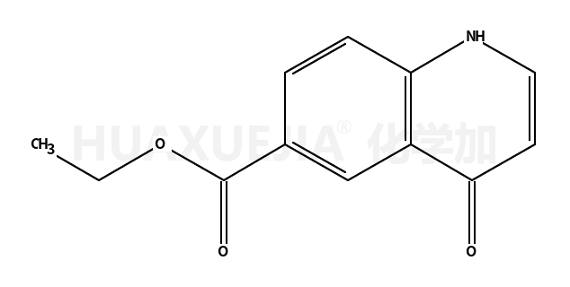 4-羟基-6-喹啉羧酸乙酯