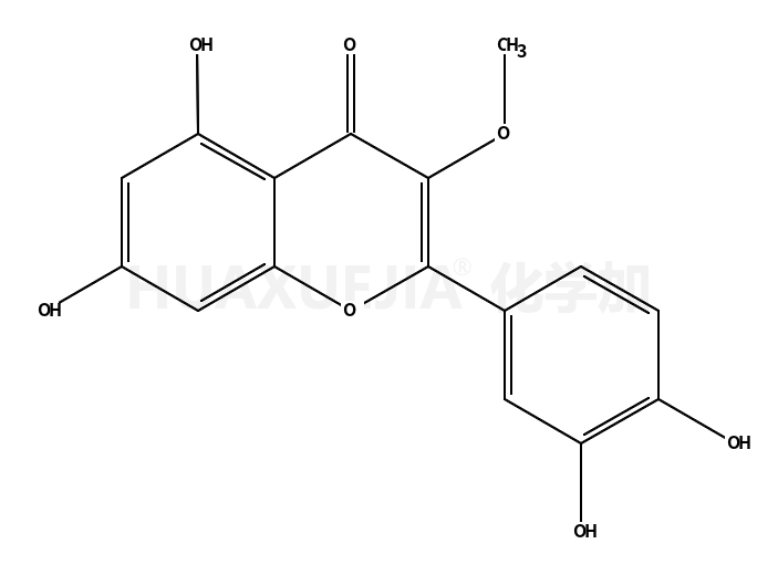 3-邻甲基槲皮素