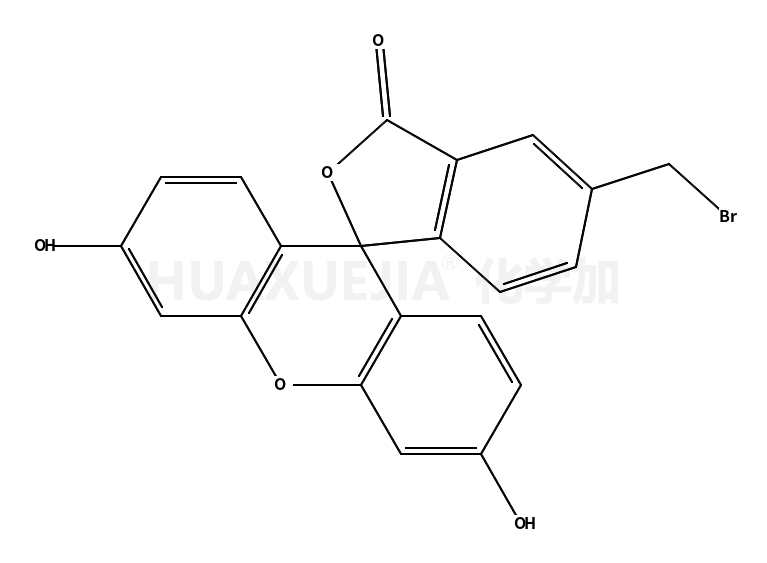 5-溴甲基荧光素