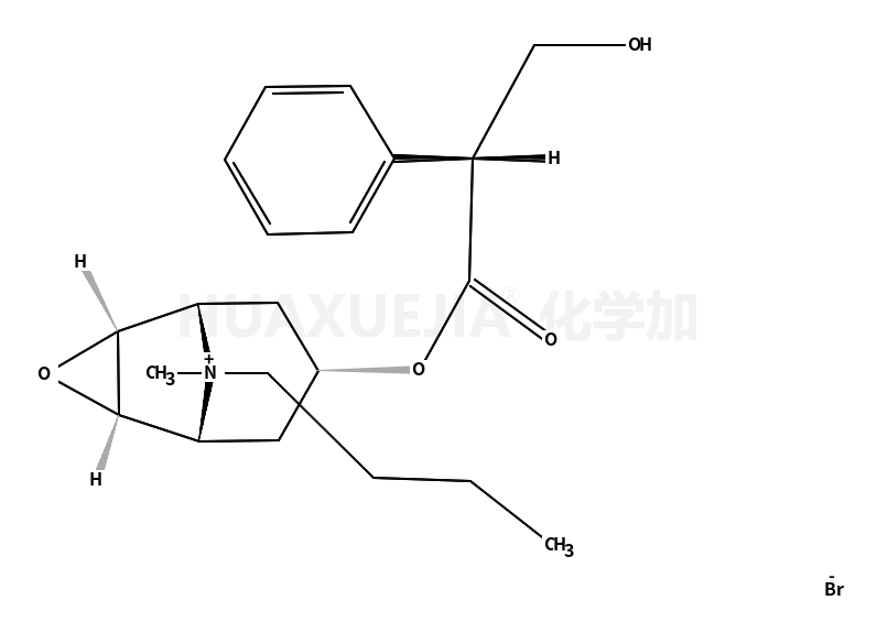 丁溴东莨菪碱