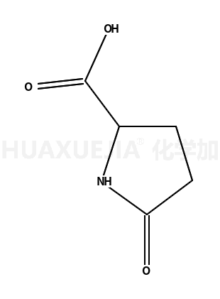 DL-焦谷氨酸