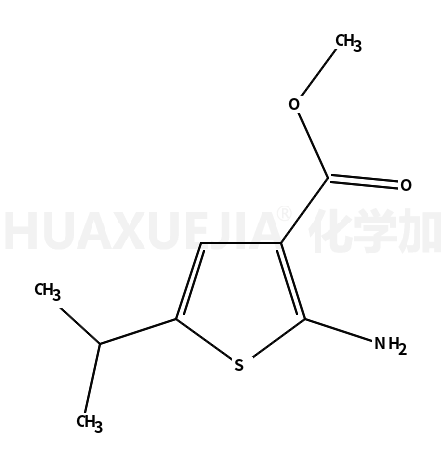 2-amino-5-isopropylthiophene-3-carboxylic acid methyl ester