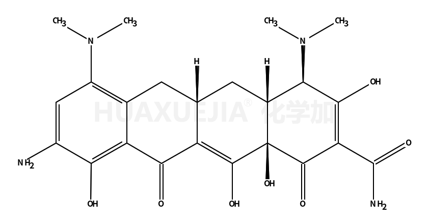 Tigecycline Metabolite M6 (9-Animominocycline)