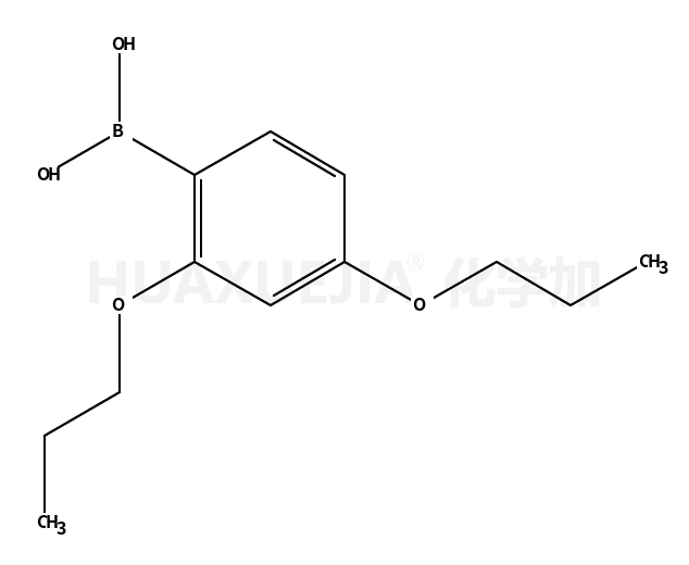2,4-二丙氧基苯硼酸