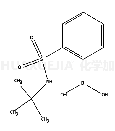 2-(叔丁基氨基)磺酰基苯硼酸