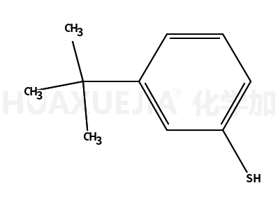 3-tert-butylbenzenethiol