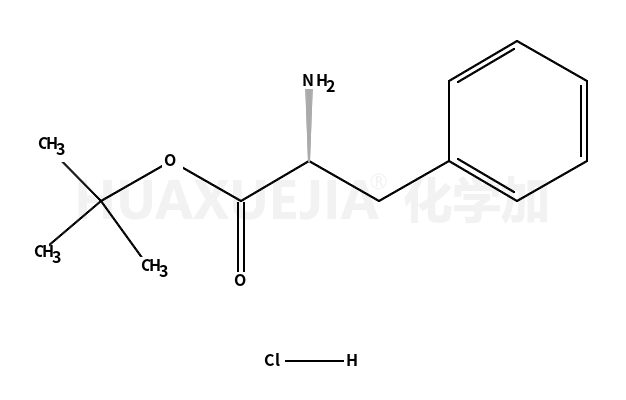 L-苯丙氨酸叔丁酯盐酸盐
