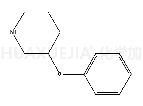 3-苯氧基哌啶