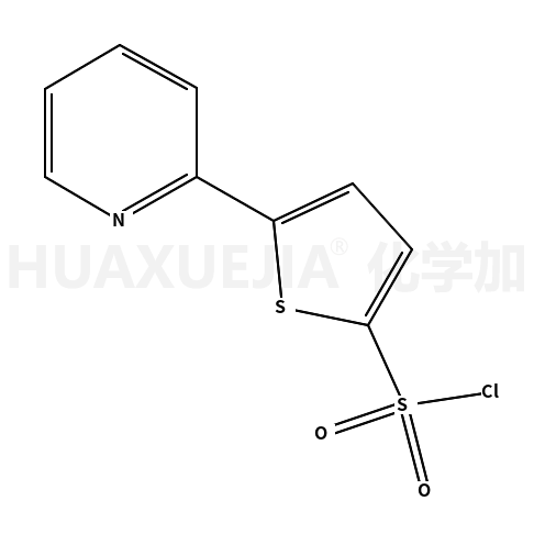 5-(2-吡啶)噻酚-2-磺酰氯