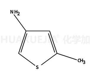 5-甲基噻吩-3-胺