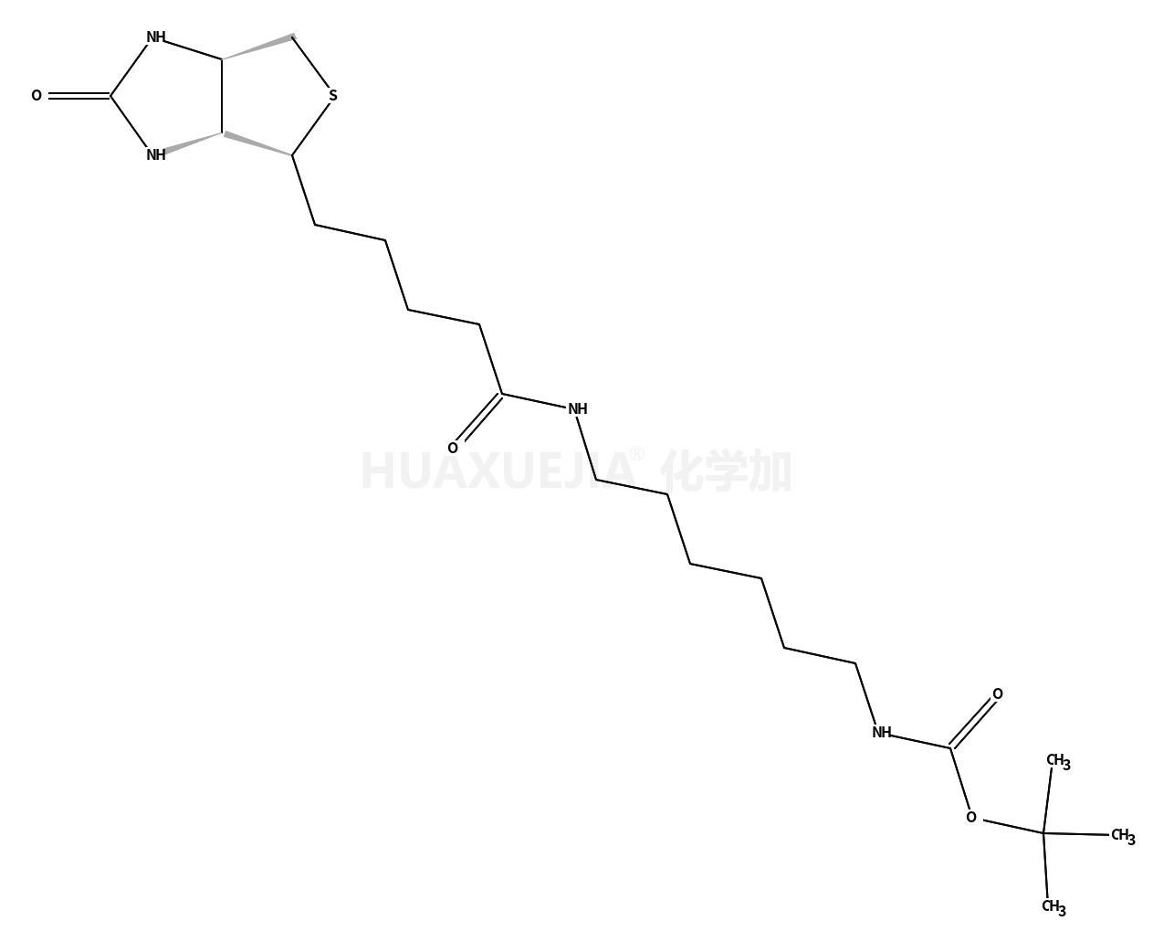 N-BOC-6-生物素酰氨基己胺