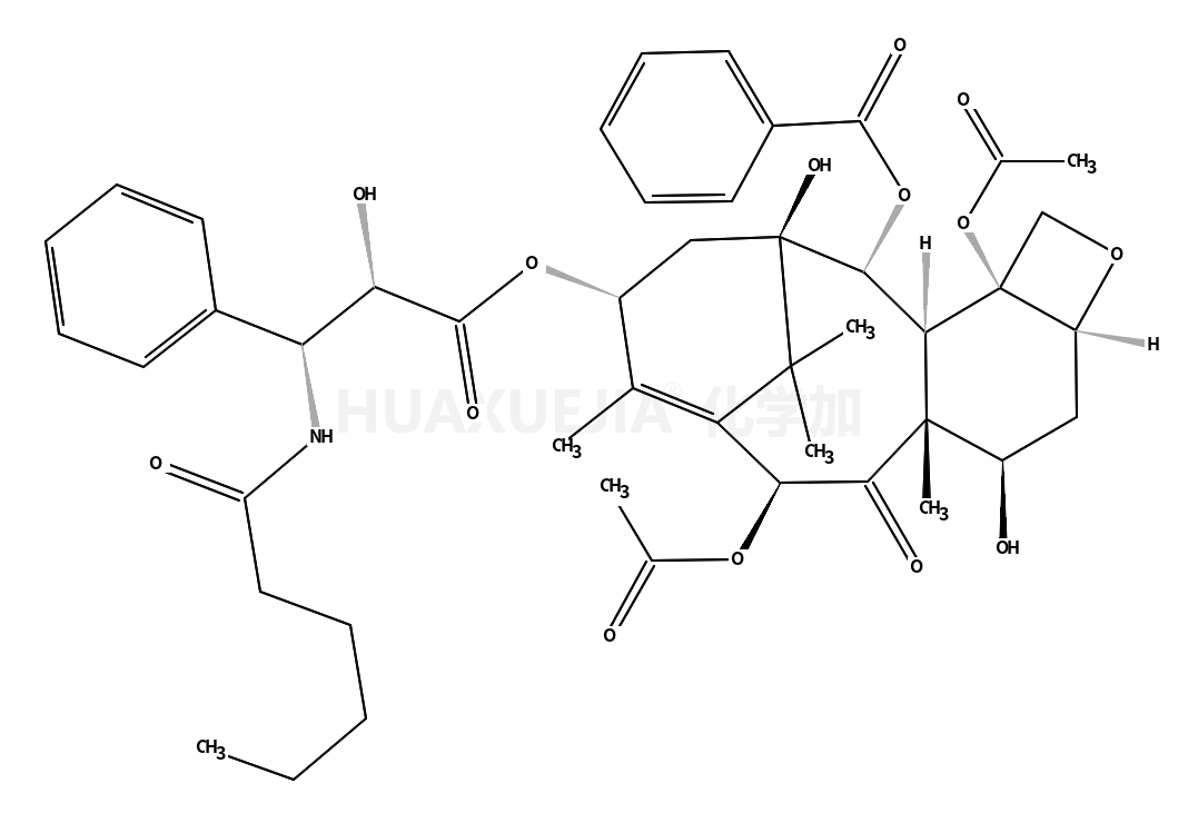 PACLITAXEL C