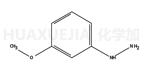 3-甲氧基-苯肼
