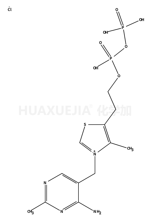 焦磷酸硫胺素