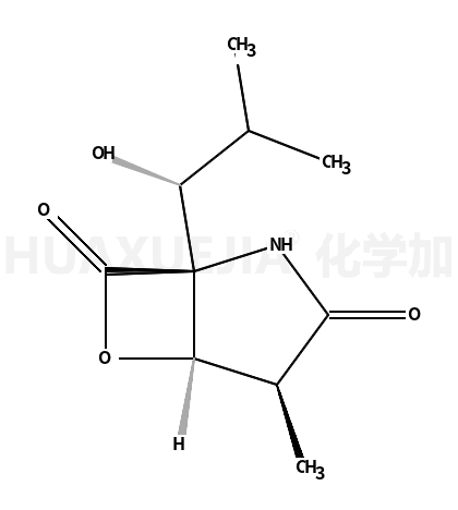 Clasto-lactacystin(Omuralide)