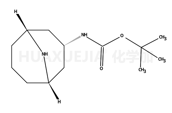 N-(3-endo)-9-氮杂双环[3.3.1]-3-壬基氨基甲酸1,1-二甲基乙酯